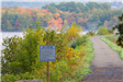 Mill Pond Way Trail - Rob Pierpont