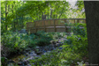Trail Bridge - Rob Pierpont