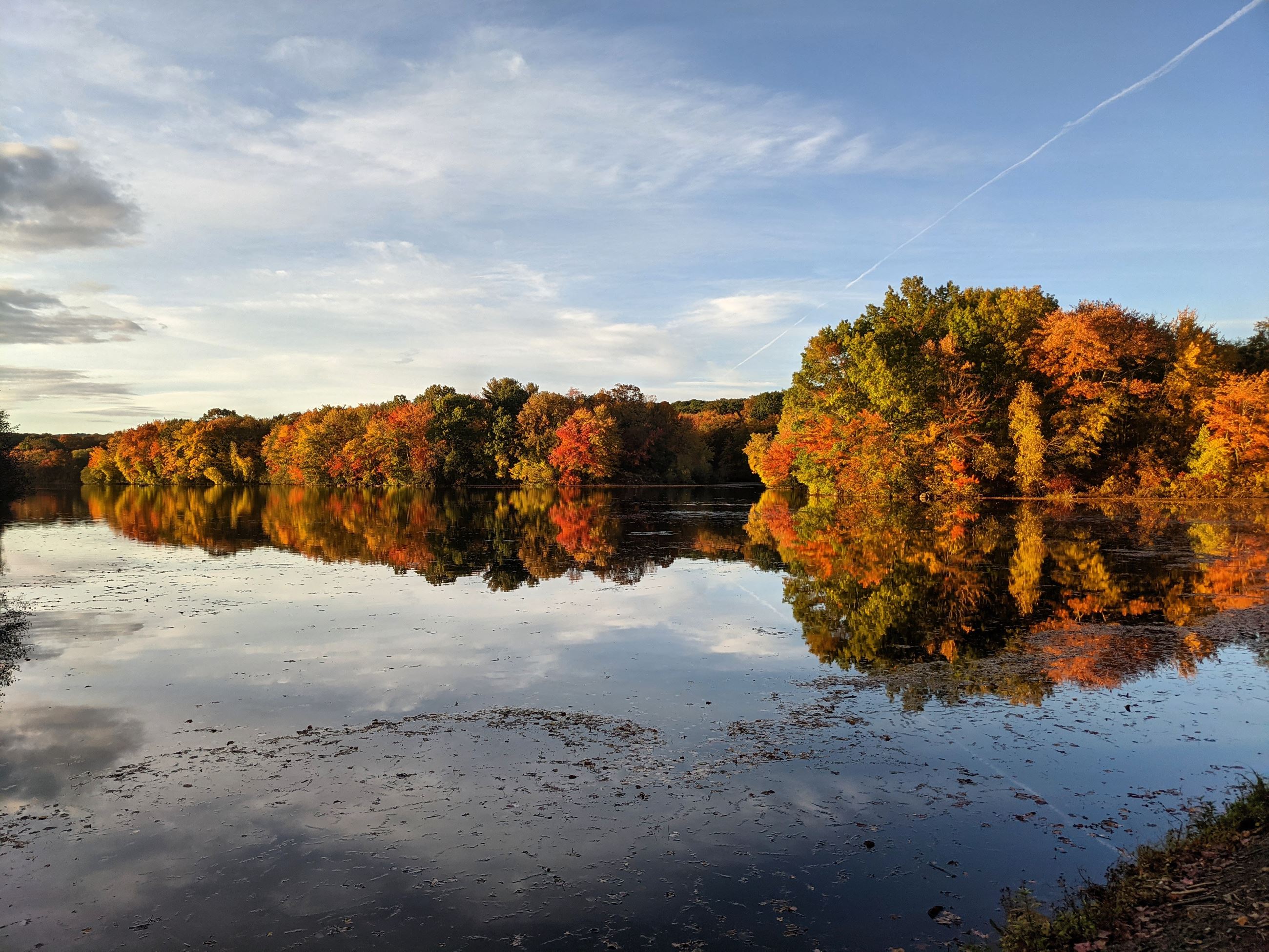 Fall Lake - Leah OBrien