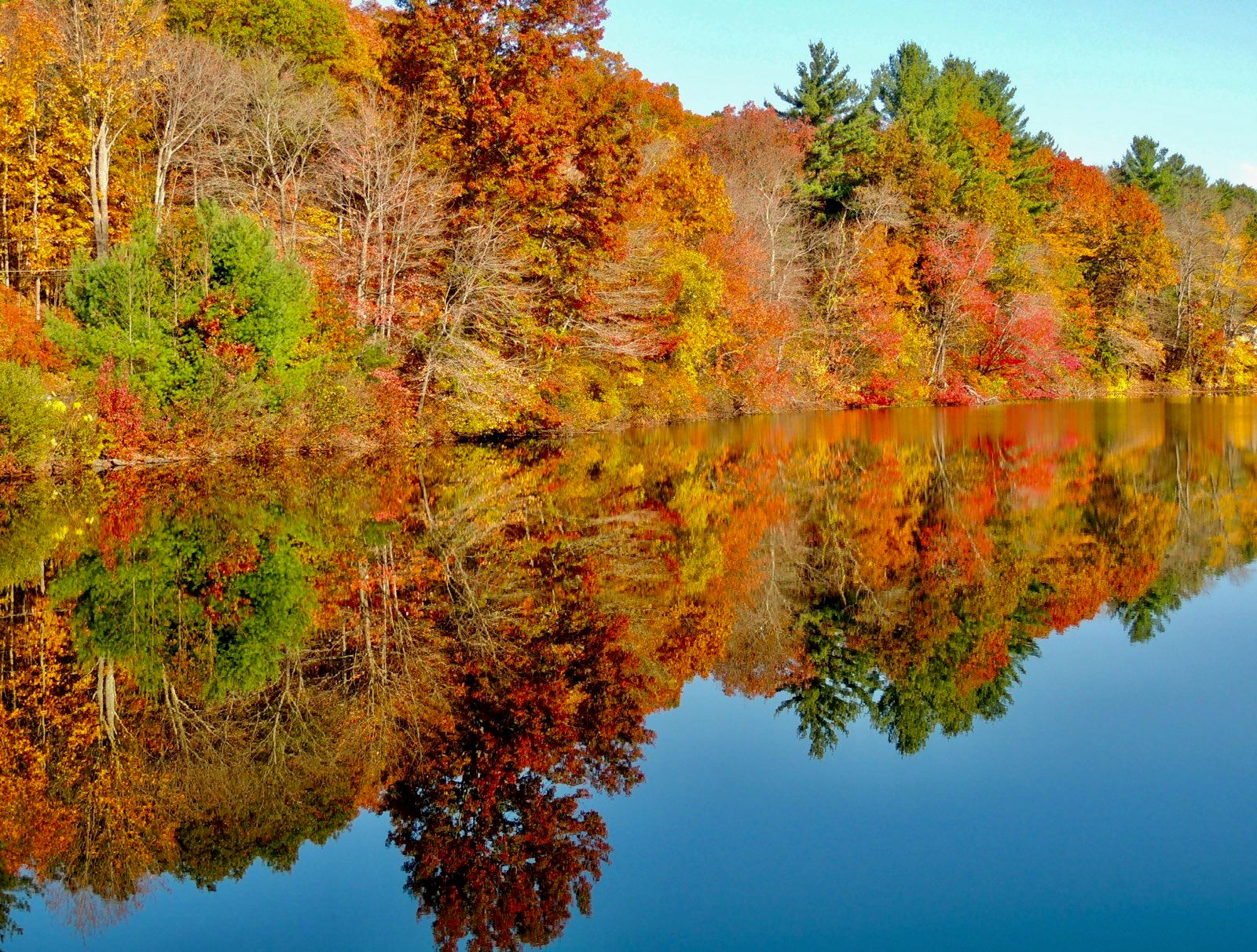 Fall Lake - Brian Carrington